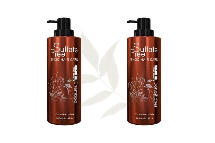 Moroccan Argan Oil Sulfate Free Shampoo and Conditioner Set - Best for Damaged, Dry, Curly or Frizzy Hair