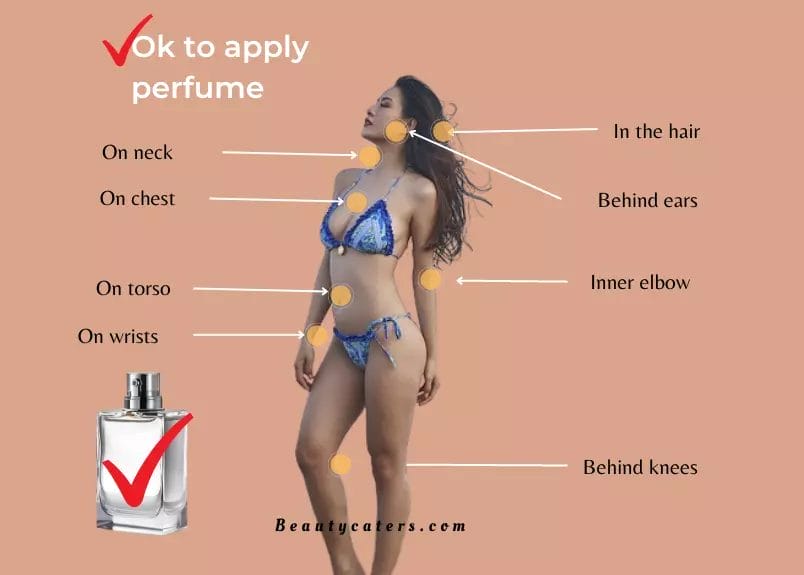 Places where to apply perfume
